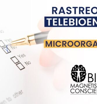 Cómo Realizar un Seguimiento de tu Progreso en Biomagnetismo