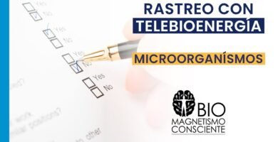 Cómo Realizar un Seguimiento de tu Progreso en Biomagnetismo