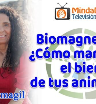 Cómo el Biomagnetismo Contribuye al Bienestar General
