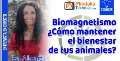 Cómo el Biomagnetismo Contribuye al Bienestar General