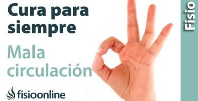 Cómo el Biomagnetismo Puede Ayudar en la Circulación Sanguínea