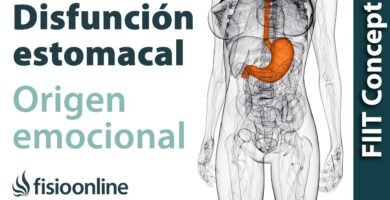 Fortalecimiento del Sistema Digestivo con Biomagnetismo