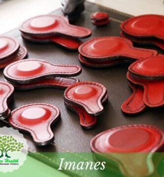 Guía de Compra de Imanes para Biomagnetismo