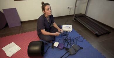 Guía para la Aplicación del Biomagnetismo en Animales