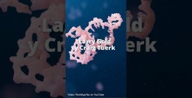 La Ciencia Detrás del Par Biomagnético