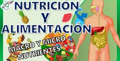 La Importancia de la Alimentación en el Biomagnetismo: Consejos de Nutricionistas