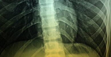 La Mejor Manera de Documentar tu Progreso en Biomagnetismo