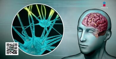 La Mejor Manera de Mantener la Salud Mental con Biomagnetismo