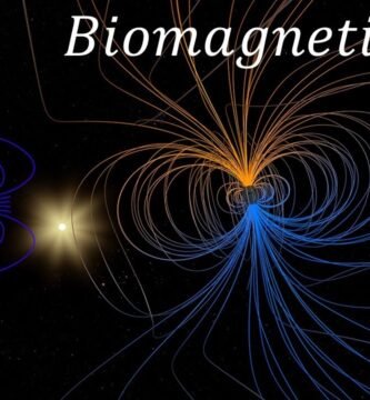 Seguridad del Biomagnetismo en el Tratamiento de Problemas Digestivos