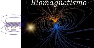 Seguridad del Biomagnetismo en el Tratamiento de Problemas Digestivos