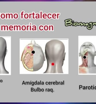 Tratamientos de Biomagnetismo para Mejorar la Concentración