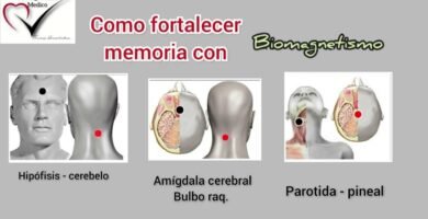 Tratamientos de Biomagnetismo para Mejorar la Concentración