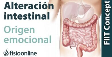 Tratamientos de Biomagnetismo para la Salud Digestiva