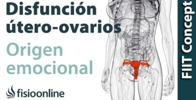 Tutorial de Biomagnetismo para el Equilibrio Hormonal