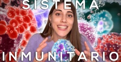 Impacto positivo del biomagnetismo en el sistema inmunológico