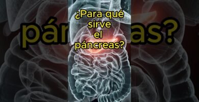 Beneficios del biomagnetismo en trastornos digestivos