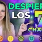 Imanes y chakras: conexión energética y salud