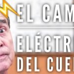 Investigaciones sobre el efecto de los campos magneticos en el cuerpo humano