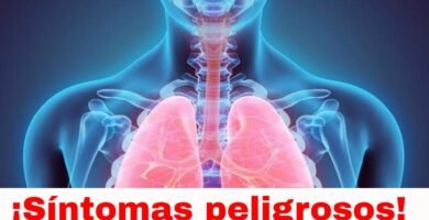 Cómo proteger las vías respiratorias con imanes