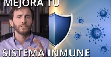 Cómo reforzar el sistema inmune de forma segura con imanes