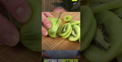 Experiencias exitosas de biomagnetistas en enfermedades crónicas