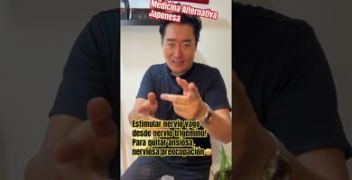 como el biomagnetismo equilibra organos internos en terapias para adultos mayores