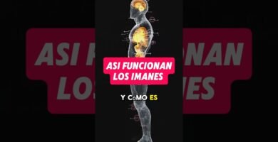 como evitar errores al colocar los imanes en ninos bajo supervision