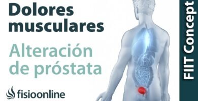 uso de imanes en problemas de prostata en problemas emocionales leves