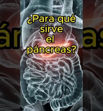 como el biomagnetismo equilibra organos internos en personas con problemas de concentracion