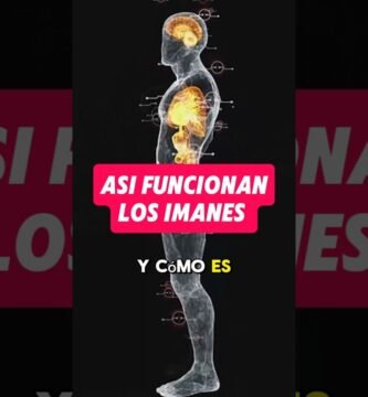 tutorial para organizar tus imanes de forma segura para terapeutas principiantes