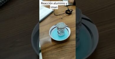 tutorial para organizar tus imanes de forma segura en ninos bajo supervision